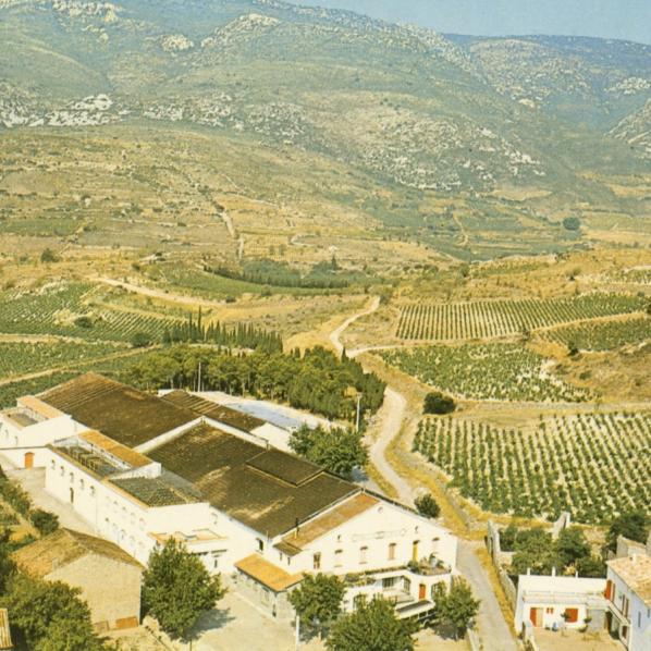 PAYSAGES DE VIGNE, UNE HISTOIRE SÉCULAIRE