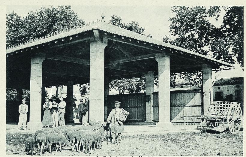 Les halles de Belvèze-du-Razès