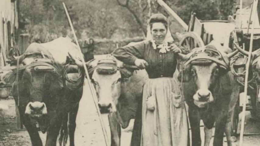 Elles font la campagne